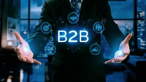 B2B SEO AGENCY 1